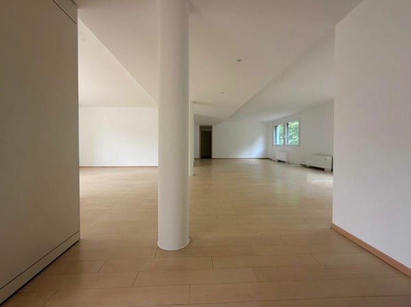 LUGANO · UFFICIO IN ZONA CENTRALISSIMA E DISPONIBILE DA SUBITO · 198 m2 6