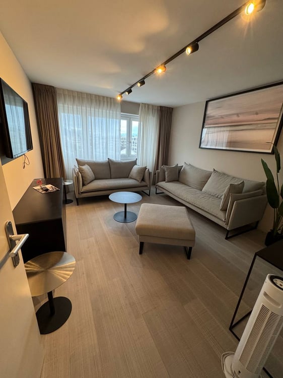 «Möblierte 3.5-Zimmer-Wohnung zu vermieten»