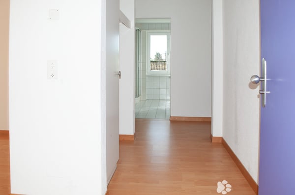 Charmante 5-Zimmer-Wohnung nahe des Zentrums Biel/Bienne 7