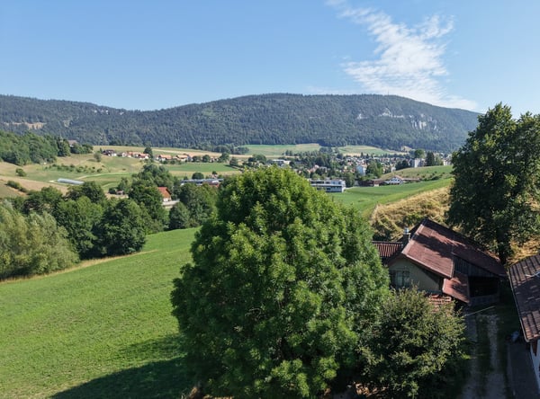 Rustikales Bauernhaus in Tavannes – Altbau-Juwel mit grossem Grundstück 6
