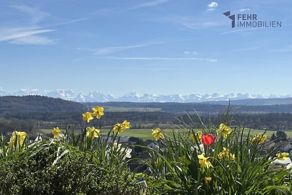 Fehr Immobilien - 4.5-Zi.-Terrassenappartement mit herrlicher Aussicht 2