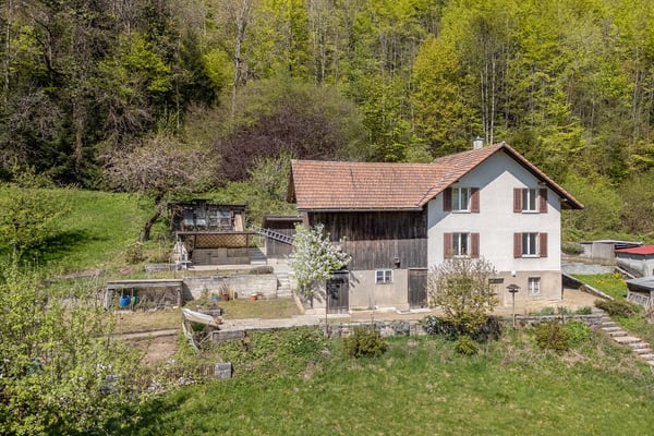 Fehr Immobilien - Charmantes 6-Zimmer-Einfamilienhaus 1
