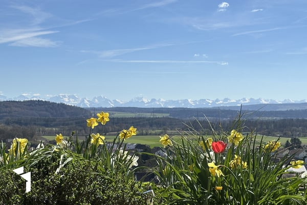 Fehr Immobilien - 5.5-Zi.-Terrassenhaus mit herrlicher Aussicht 1