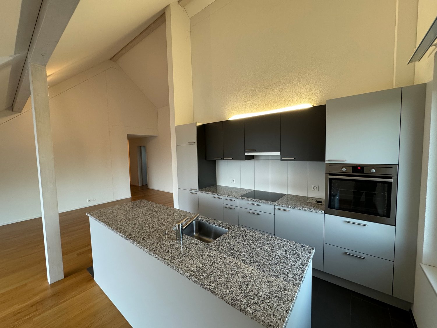 modern kitchen with granite countertop, stainless steel sink, built-in oven, dishwasher, wooden floor