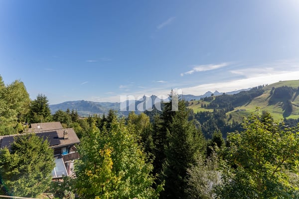 Chalet soigné dans un cadre d'exception à vendre à Moléson-sur-Gruyères 10