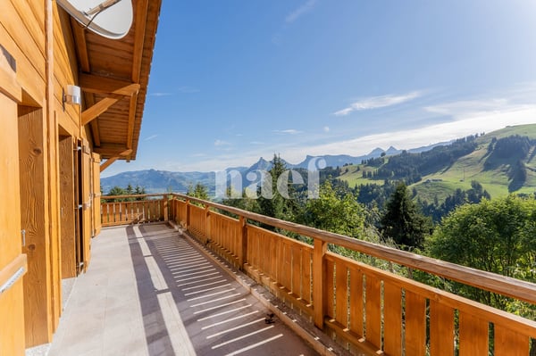 Chalet soigné dans un cadre d'exception à vendre à Moléson-sur-Gruyères 9