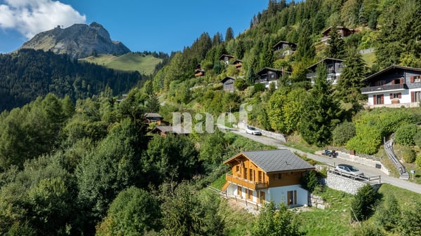 Chalet soigné dans un cadre d'exception à vendre à Moléson-sur-Gruyères 1