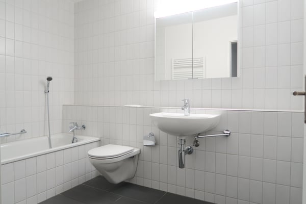 Wohnen in der Nähe der Aare! 3