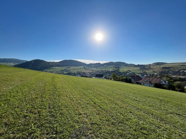 5.5-Zimmer-Doppeleinfamilienhaus Haus A2 Niederdorf 13