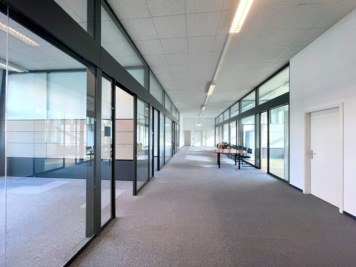 Empty office hallway with glass walls, carpeted floor, meeting room table and chairs, fluorescent lights