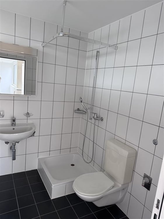 3.5 Zimmer Maisonette an sehr zentraler Lage in Altstetten 5
