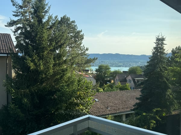 4-Zimmer-Wohnung an attraktiver Lage in Zürich Witikon 9
