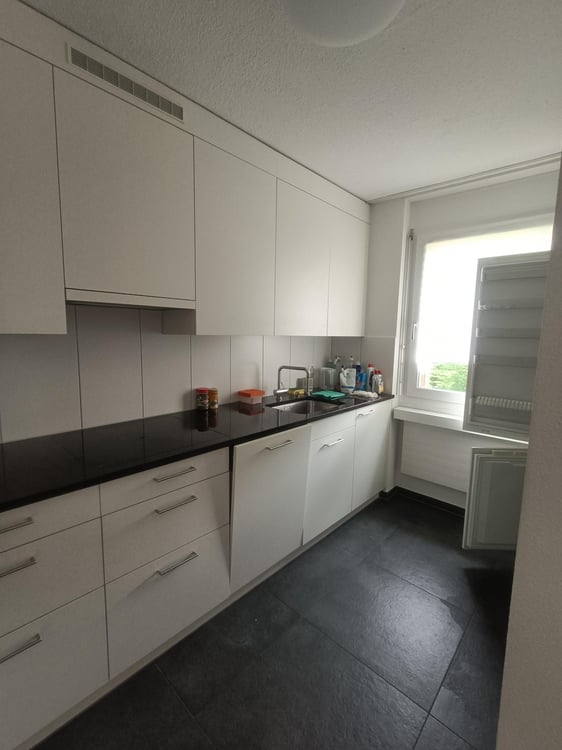4.5 Zimmer-Wohnung mit grosser Dachterrasse 3