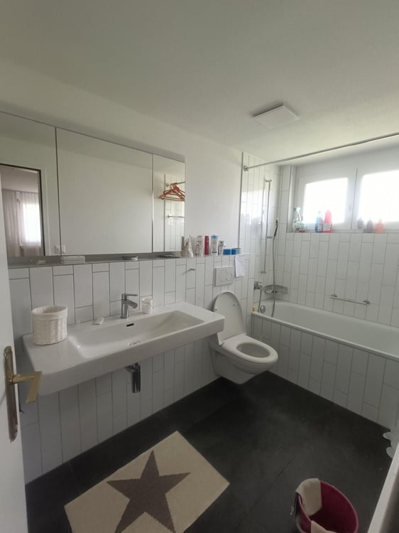 4.5 Zimmer-Wohnung mit grosser Dachterrasse 7