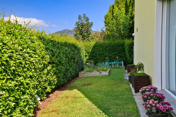 Casa Gelsomino 34