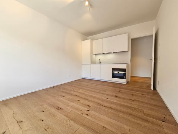 Casa Pedramonte – 3.5-Zimmer-Wohnung 8