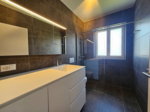 Casa Pedramonte – 3.5-Zimmer-Wohnung 9