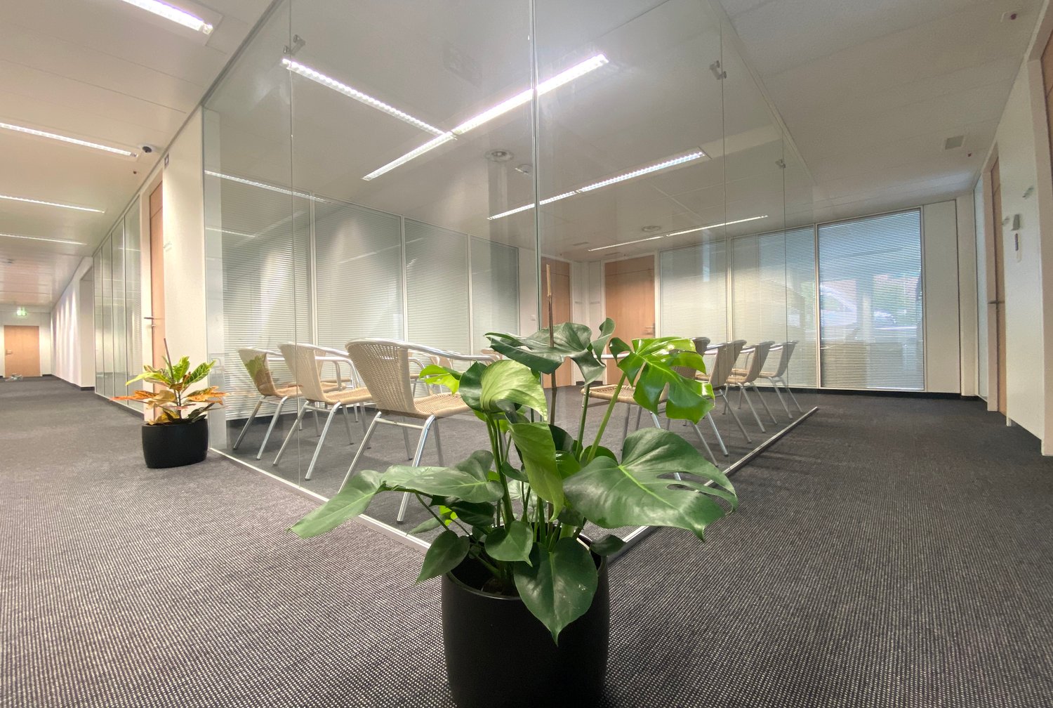 Large open office space with glass walls, modern furniture, and potted plants. The space has a bright and airy feel with ample natural lighting.