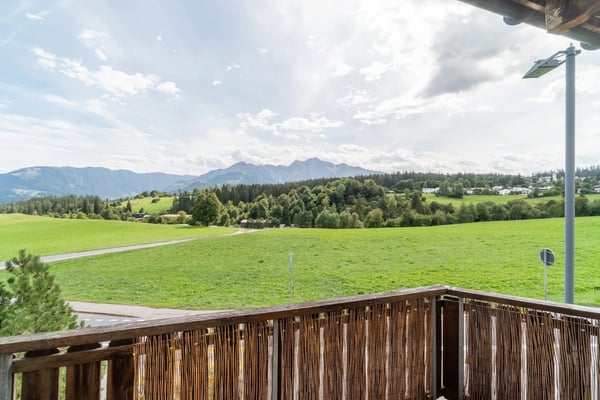 3.5-Zimmer-Wohnung mit Alpensicht in Flims Dorf kaufen 8