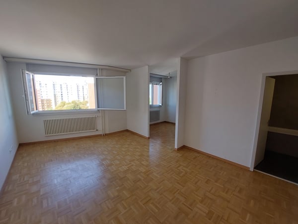 1.0 Appartement chambre Dans Vernier 1