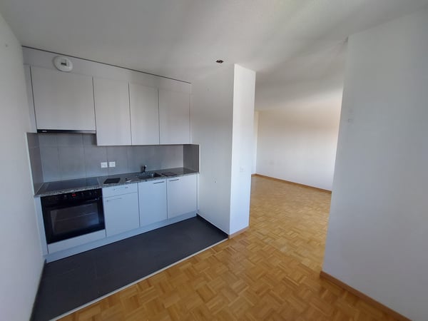 1.0 Appartement chambre Dans Vernier 3