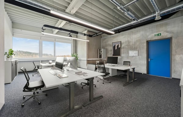 Quellmatten | Suhrenmattstrasse 29, Unterentfelden | 310 m² 3