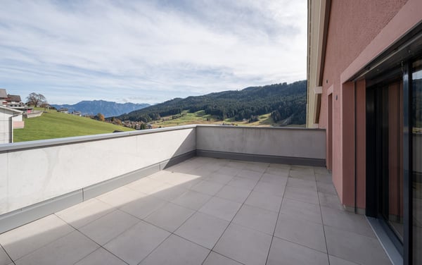 2.5 Zimmer Dach-Wohnung mit Galerie 14