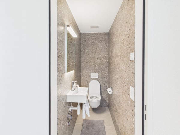 Lichtdurchflutete 3.5 Zimmer Penthousewohnung mit riesiger Terrasse, zentral in Luzern 7