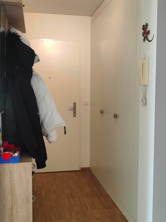 grosszügige 4.5-Zimmerwohnung zu vermieten 5