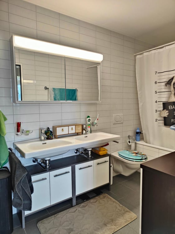 grosszügige 4.5-Zimmerwohnung zu vermieten 6