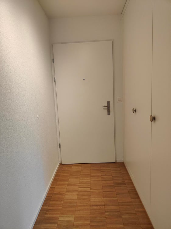 schöne, helle 3.5-Zimmer-Wohnung in Ebikon 8