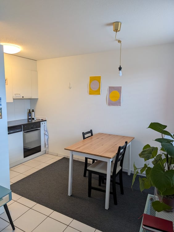 Schöne 1.5-Zimmerwohnung mit grosser Terrasse 1