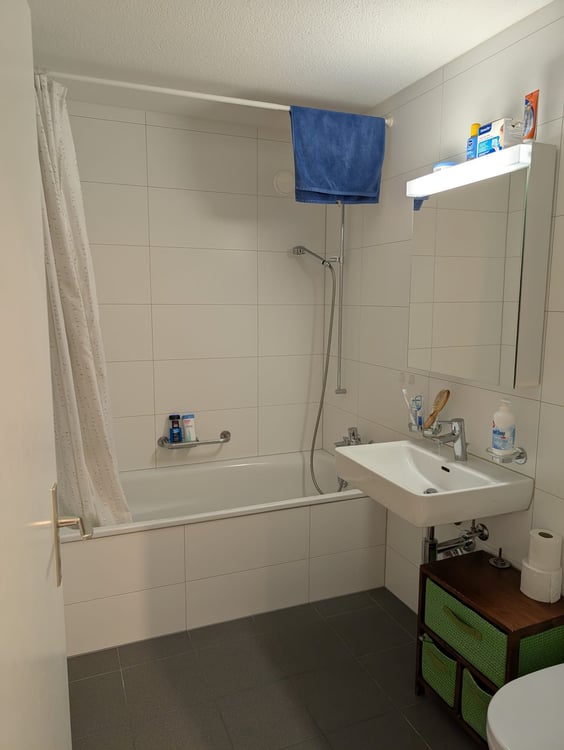 Schöne 1.5-Zimmerwohnung mit grosser Terrasse 4