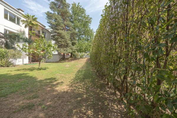 Appartamento 4.5 locali nel verde con piscina 19
