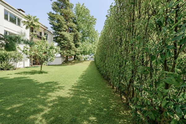 Appartamento 4.5 locali nel verde con piscina 18