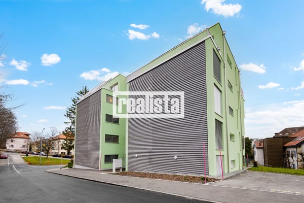 Penthouse de 5.5 pièces neuf et lumineux 10