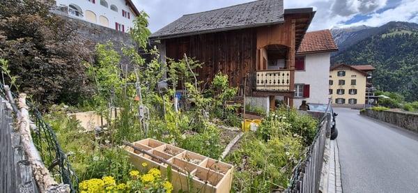 IDYLLISCHES ZUHAUSE MIT STALL UND VIEL POTENZIAL 22