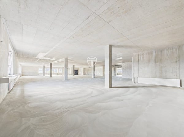 Neubau: flexible Gewerbe- & Büroflächen in Hochdorf mieten 11