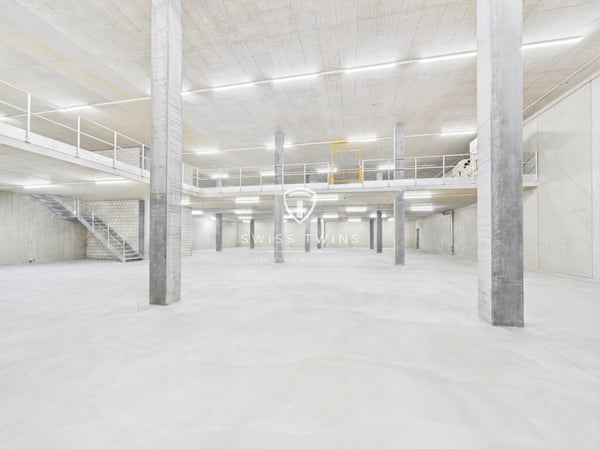 Neubau: flexible Gewerbe- & Büroflächen in Hochdorf mieten 2