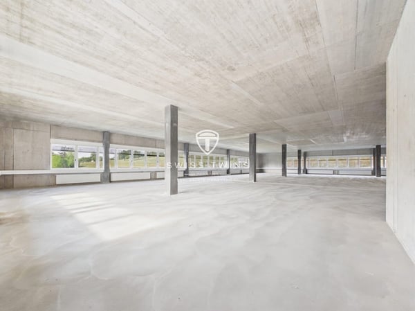 Neubau: flexible Gewerbe- & Büroflächen in Hochdorf mieten 9