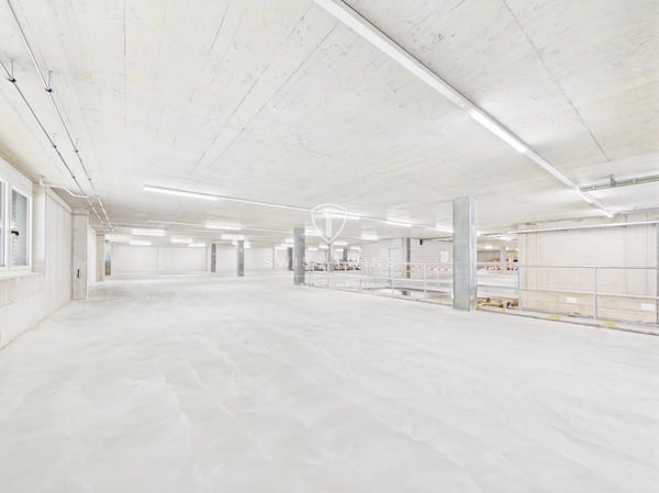 Neubau: flexible Gewerbe- & Büroflächen in Hochdorf mieten 3