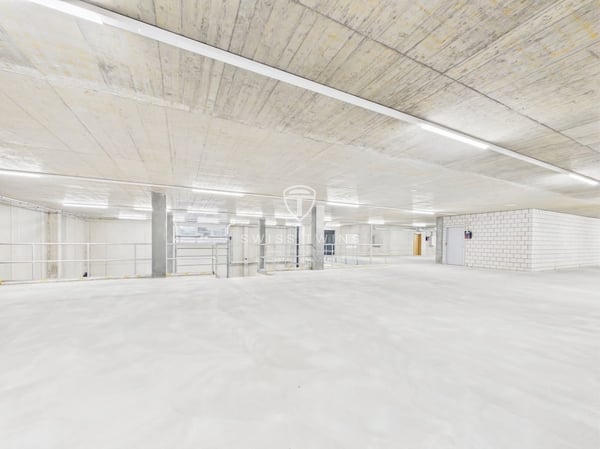Neubau: flexible Gewerbe- & Büroflächen in Hochdorf mieten 4