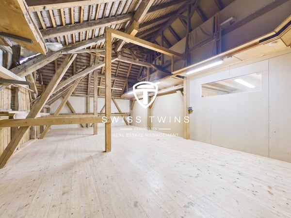 Lichtdurchflutetes Atelier/Werkstatt in Tschugg mieten 9