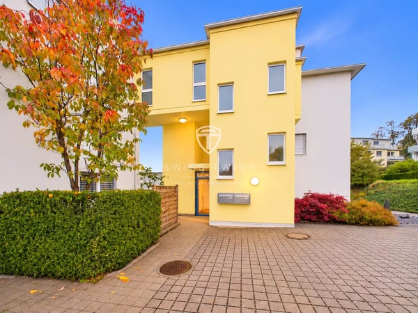 5.5-Zimmer-Attika-Maisonette mit grosser Terrasse in Wetzikon kaufen 1