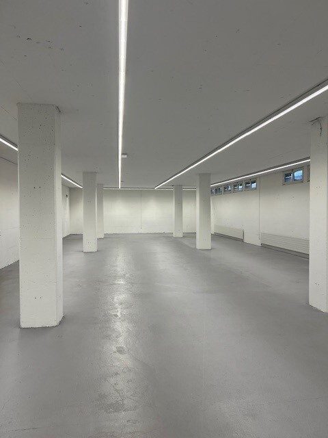Il vostro nuovo spazio commerciale di 320 m2 nel cuore di Biasca 3