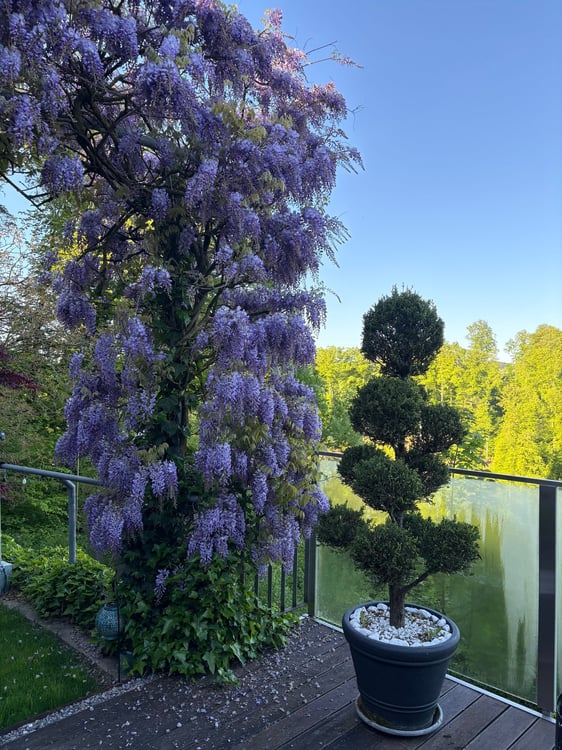 Exklusives Wohnen am Waldrand – Ruhe, Panorama & absolute Privatsphäre 12