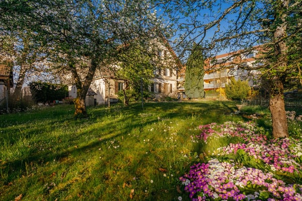 Ihre Projektchance: 1'212 m² Bauland innerhalb Bauzone WG3 8