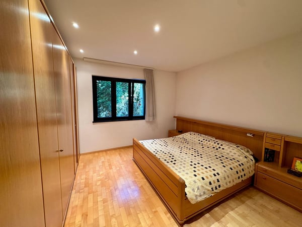 Bellinzona - Camorino - Casa bifamiliare composta da due appartamenti indipendenti con splendida vista panoramica e piscina 11