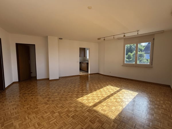 2.5-Zimmer-Eigentumswohnung mit Aussicht auf den See und die Reichenau 4