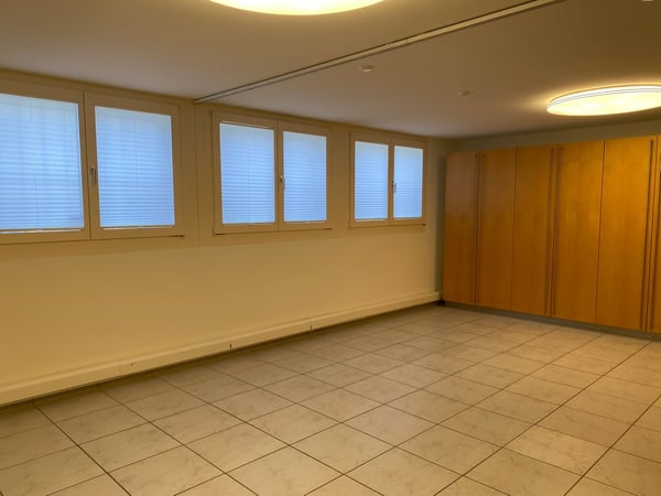 Wohnoase in Binningen - perfekt für Homeoffice 11